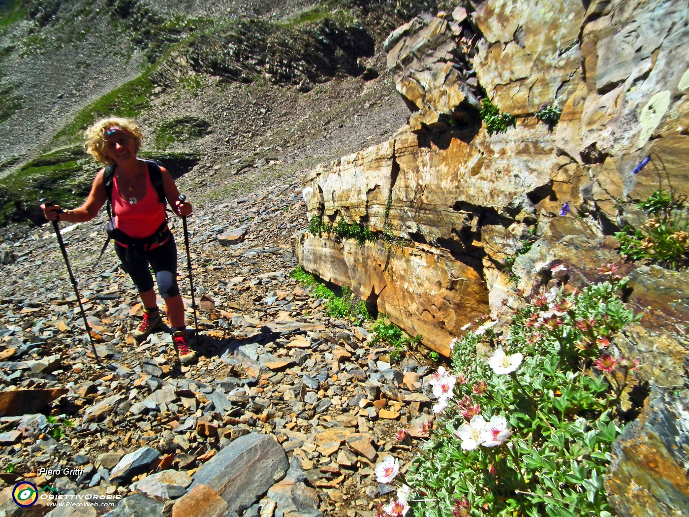 54 Rocce del verrucano lombardo e fiori .JPG